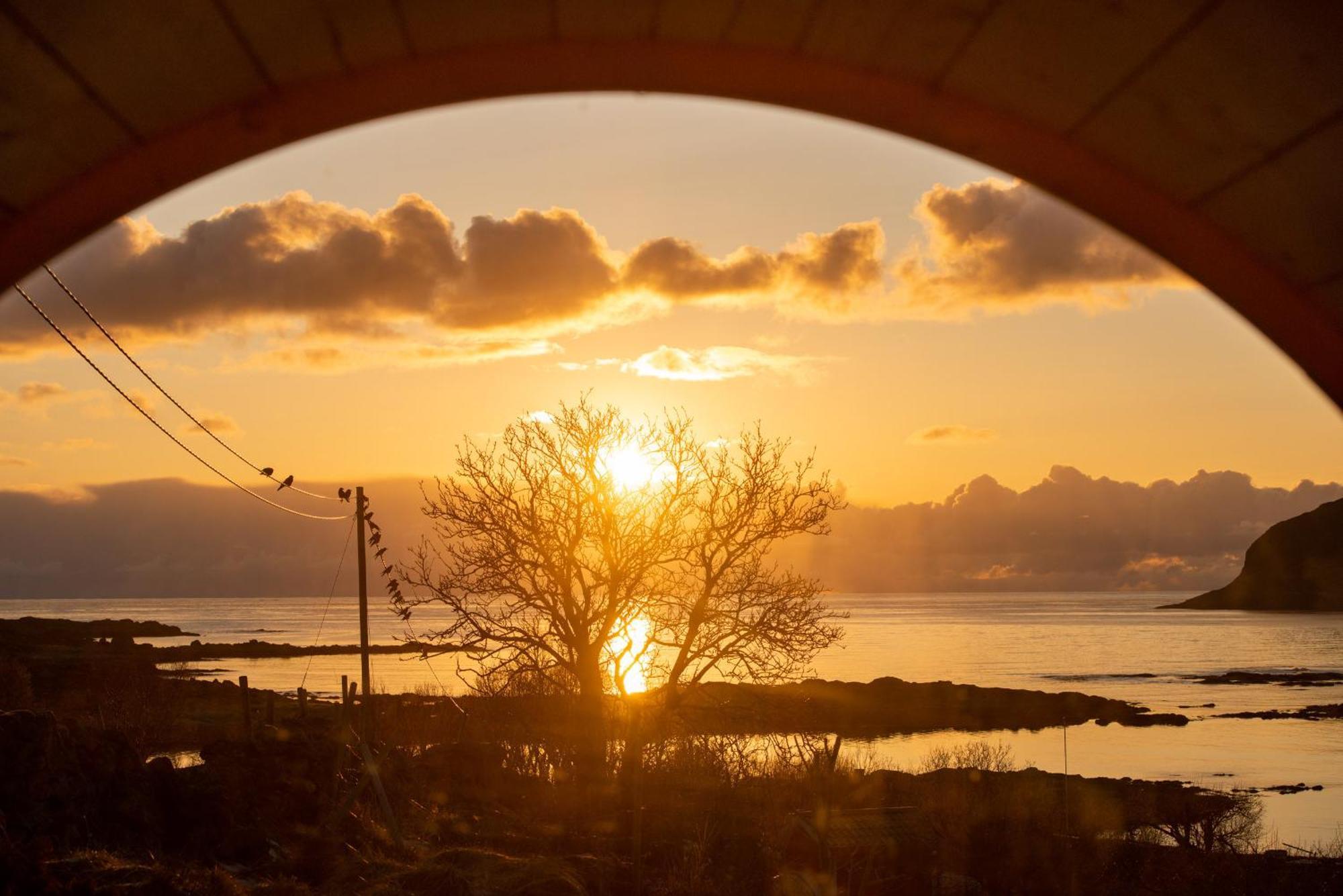 Haukland Beach Panorama Offersoya ภายนอก รูปภาพ